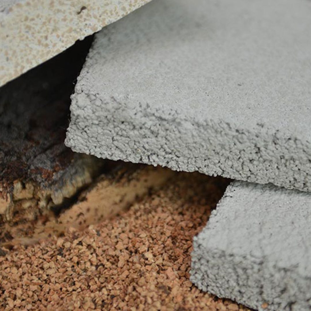 proyectados-funto-02