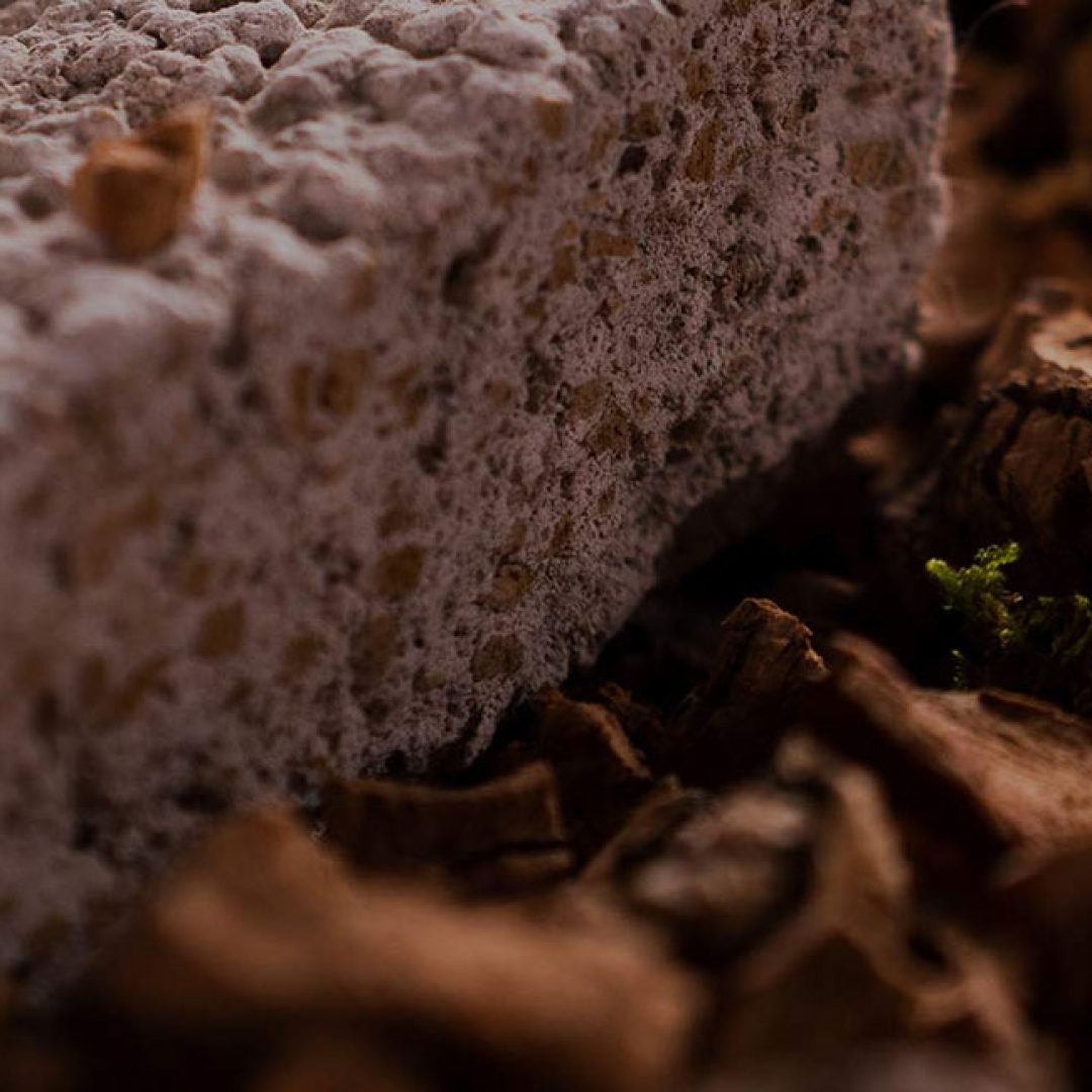 proyectados-funto-03